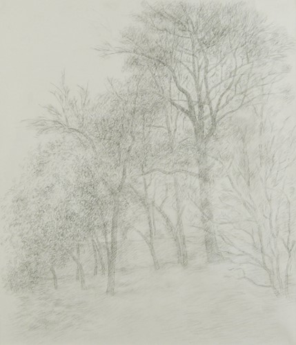 Lot 392 - Elisabeth Vellacott (1905-2002)