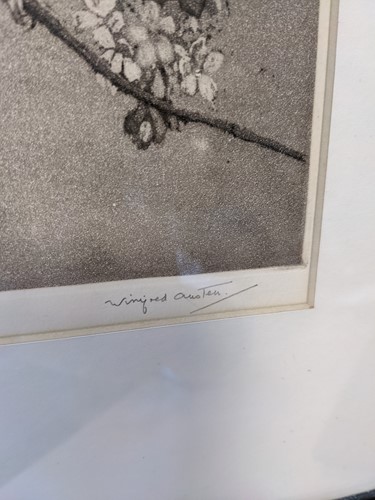 Lot 30 - Winifred Marie Louise Austen, RI, RE (1876-1964)