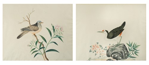 Lot 63 - Anglo-Chinese School, early 19th century