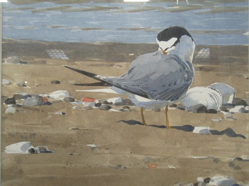 Lot 210 - Barry van Dusen Least Tern signed and dated 94...