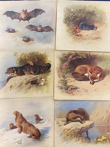 Lot 7 - Archibald Thorburn. British Mammals; British...