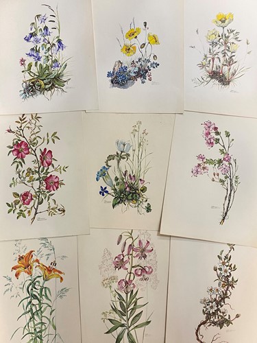 Lot 350 - A large collection of loose floral prints and...