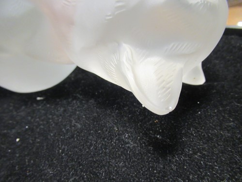 Lot 11 - A Lalique cat, in prone position, 12 x 24 x 13cm