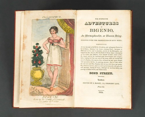 Lot 253 - Rare chapbook. The Surprising Adventures of...