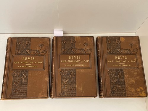 Lot 289 - JEFFERIES (Richard) Bevis, The Story of a Boy,...