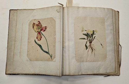 Lot 362 - An early 19th Century album, of botanical,...