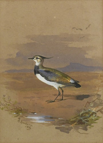 Lot 204 - Archibald Thorburn (1860-1935)