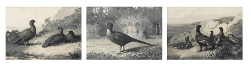 Lot 202 - Archibald Thorburn (1860-1935)