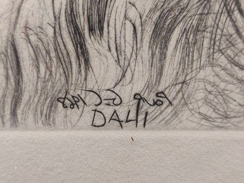 Lot 243 - Salvador Dalí (1904-1989) A set of four...