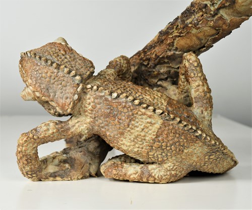 Lot 90 - David Cooke (1970-), a ceramic sculpture of a chameleon on a branch, 1996