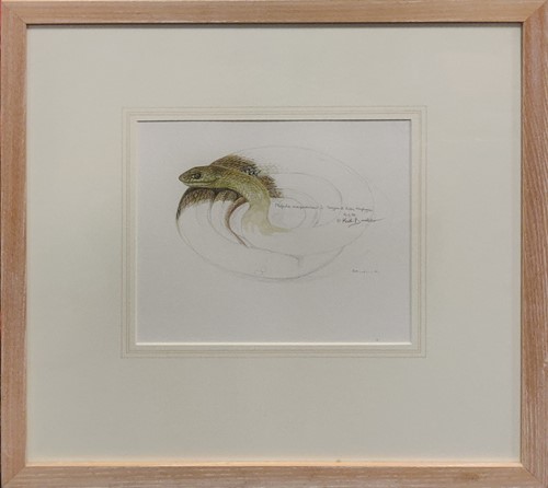 Lot 221 - Keith Brockie (b. 1955) study of a snake...
