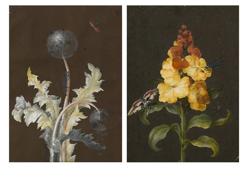 Lot 56 - Barbara Regina Dietzsch (1706-1783), Johann Christoph Dietzsch (1710-1769)