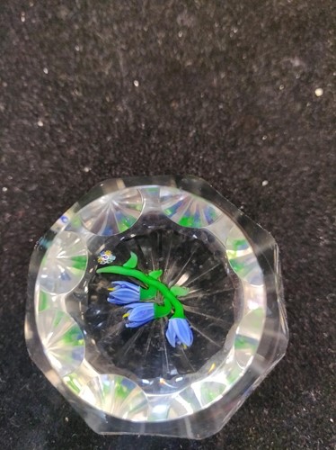 Lot 4 - A collection of John Deacons and other glass paperweights