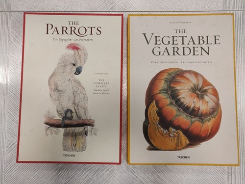 Lot 412 - A box set of reproduction prints of parrots...