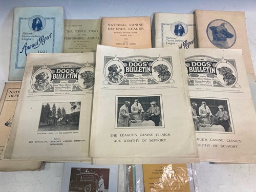 Lot 102 - Various early 20th century National Canine...