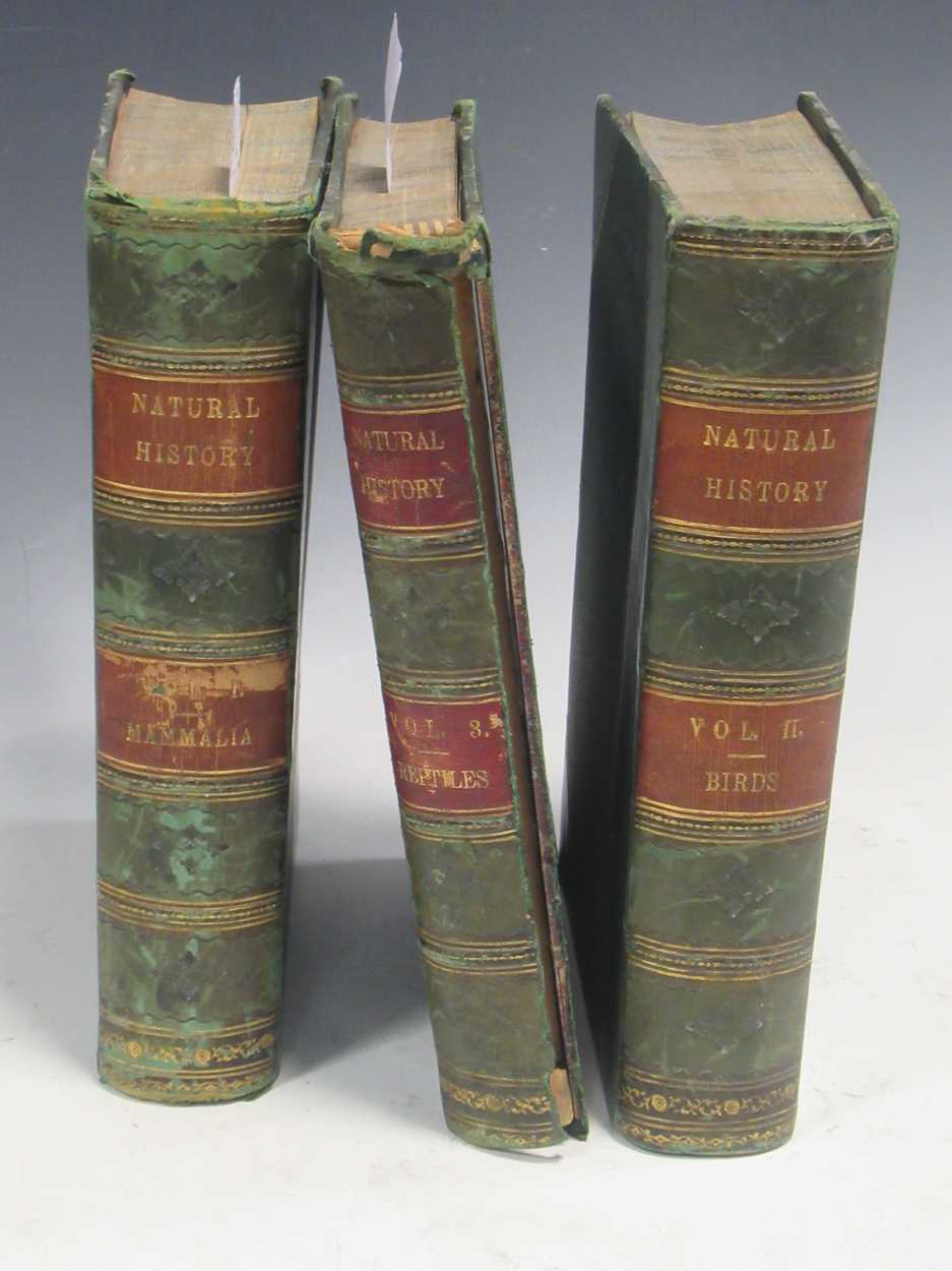 Lot 125 - Wood M.A, F.L.S (J. G) The Illustrated Natural...