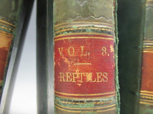 Lot 125 - Wood M.A, F.L.S (J. G) The Illustrated Natural...