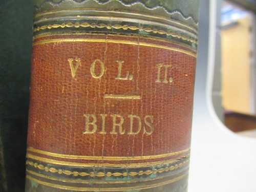 Lot 125 - Wood M.A, F.L.S (J. G) The Illustrated Natural...