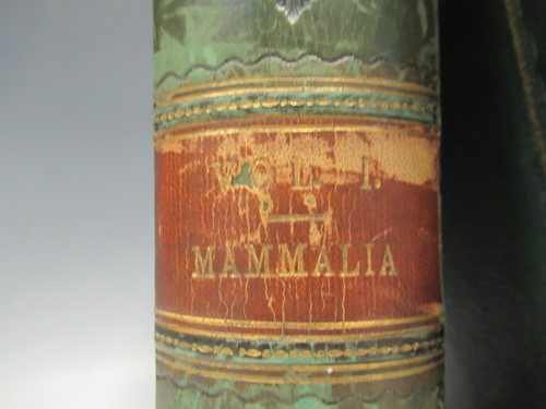 Lot 125 - Wood M.A, F.L.S (J. G) The Illustrated Natural...