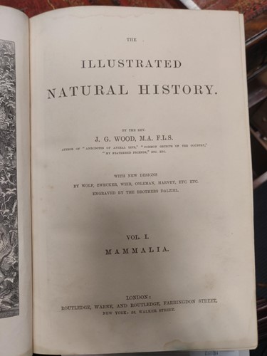 Lot 125 - Wood M.A, F.L.S (J. G) The Illustrated Natural...