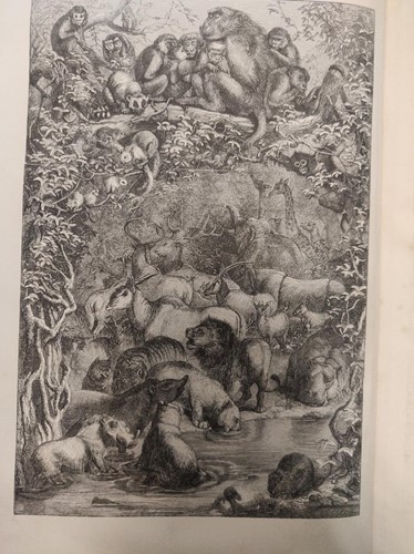 Lot 125 - Wood M.A, F.L.S (J. G) The Illustrated Natural...