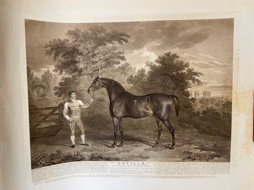 Lot 24 - Collection of loose and unframed prints and...