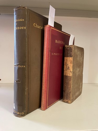 Lot 133 - TURTON (William) A Conchological Dictionary of...