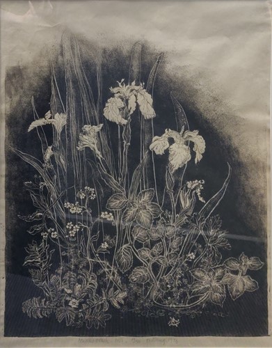 Lot 653 - Caroline Hemming  (1931-2017)