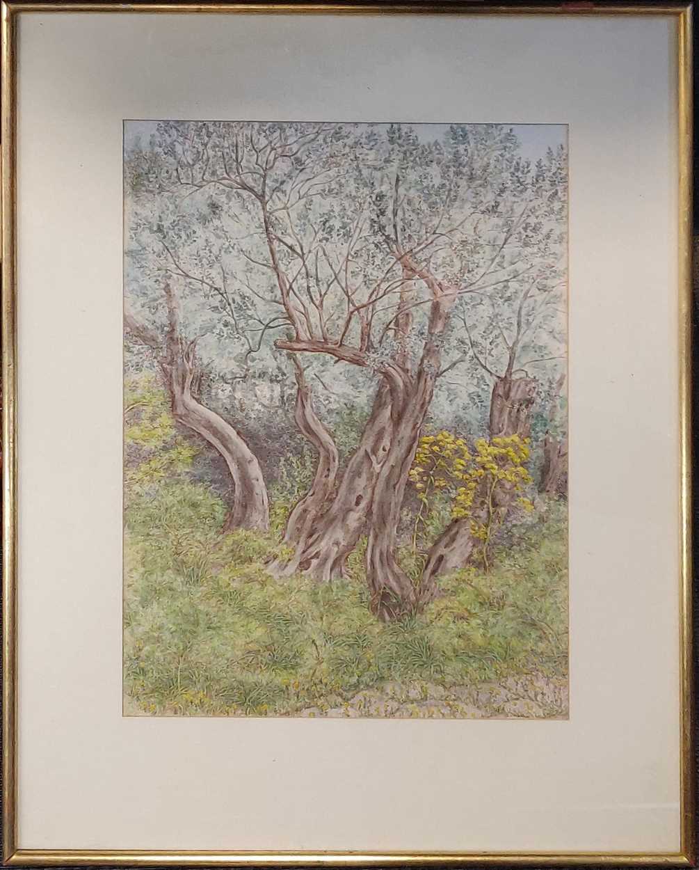 Lot 393 - Angela Culme-Seymour