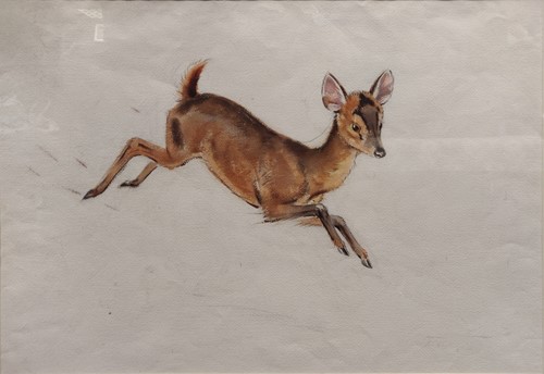 Lot 313 - Eileen Soper RMS SWLA (1905-1990)