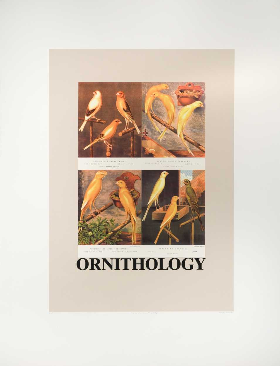 Lot 559 - Sir Peter Blake CBE, RDI, RA (1932-)