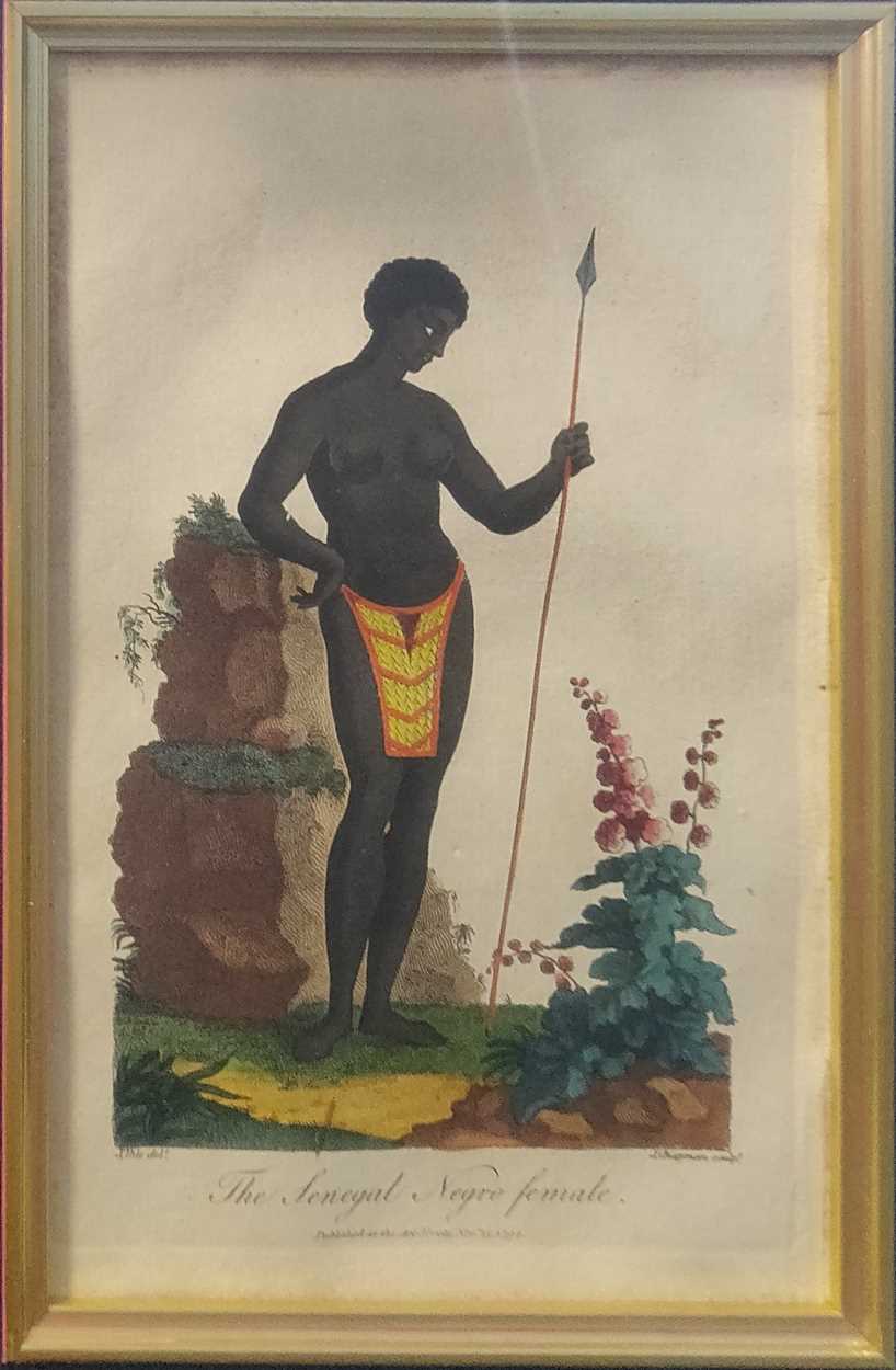 Lot 280 - Johann Eberhard Ihle