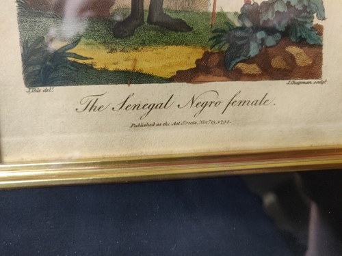Lot 280 - Johann Eberhard Ihle