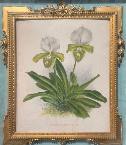 Lot 439 - C. Charlesworth