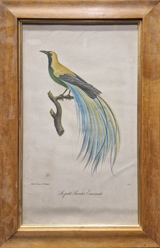 Lot 304 - After L.L. Violette (1748-1830)