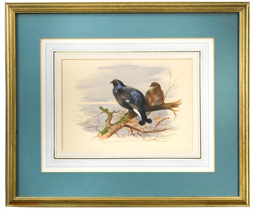 Lot 175 - Archibald Thorburn (1860-1935)
