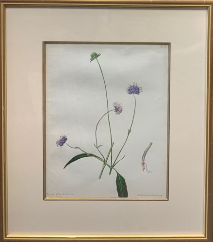 Lot 321 - Emily Stackhouse (1811-1870)