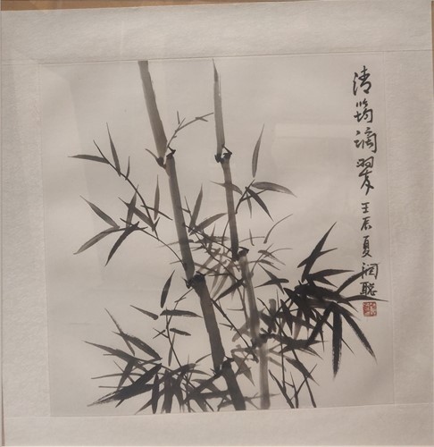 Lot 285 - Bamboo plants