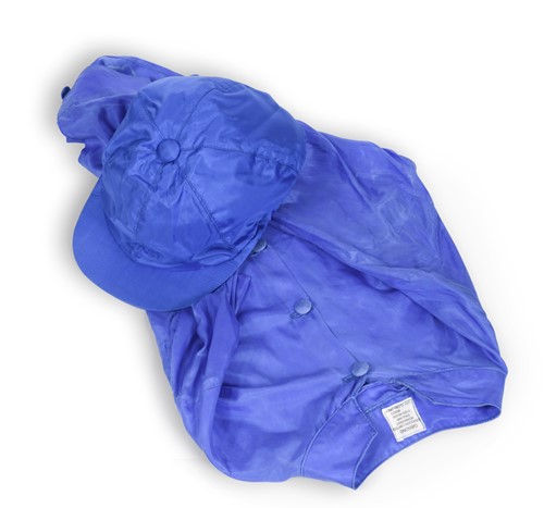Lot 114 - Frankie Dettori's royal blue Godolphin racing silks