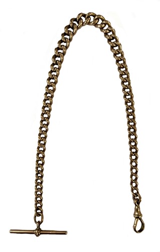 Lot 325 - A watch chain