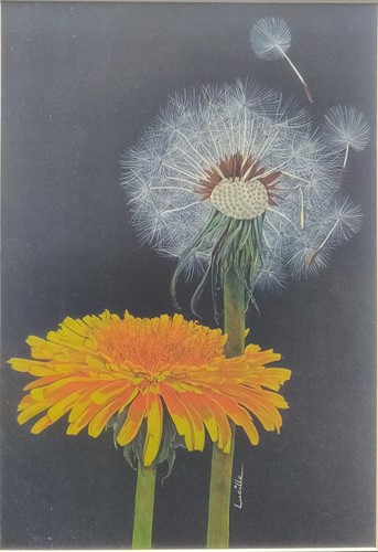 Lot 215 - Lucille Carter (20th century)