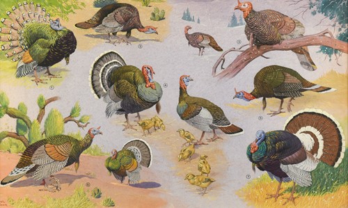 Lot 175 - Neave Parker (1910–1961)