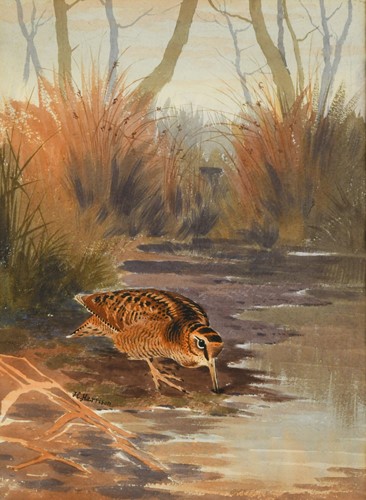 Lot 276 - John Cyril Harrison (1898-1985)
