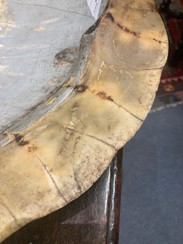 Lot 311 - An unworked South American River Turtle or Arrau (Podocnemis expansa) Turtle shell, 19th century