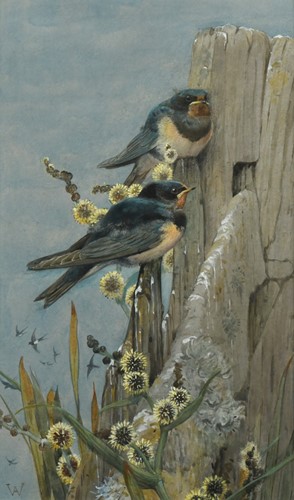Lot 254 - Winifred Marie Louise Austen RI, RE (1876-1964)