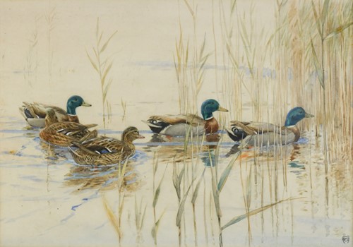 Lot 251 - Winifred Marie Louise Austen RI, RE (1876-1964)