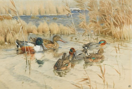 Lot 252 - Winifred Marie Louise Austen RI, RE (1876-1964)