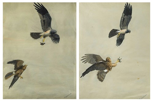 Lot 283 - John Cyril Harrison (1898-1985)