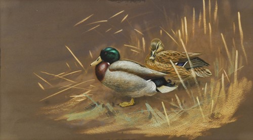 Lot 259 - George Edward Lodge (1860-1954)
