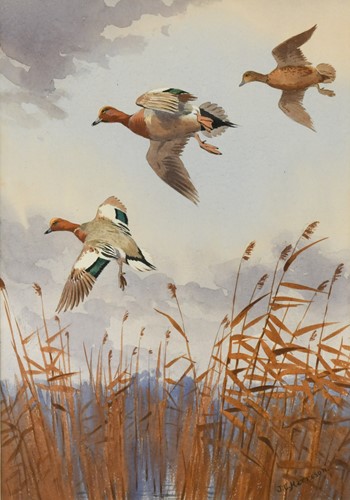Lot 273 - John Cyril Harrison (1898-1985)